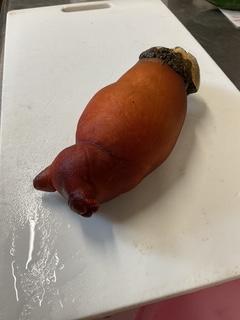 image0_3.jpeg