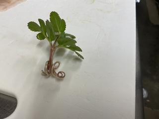 image3_2.jpeg