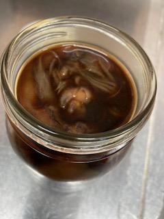image1_3.jpeg
