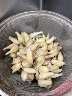 image0_4.jpeg